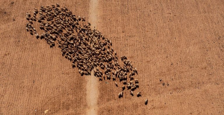 Zero Hunger: Are we on track to achieve it by 2030?