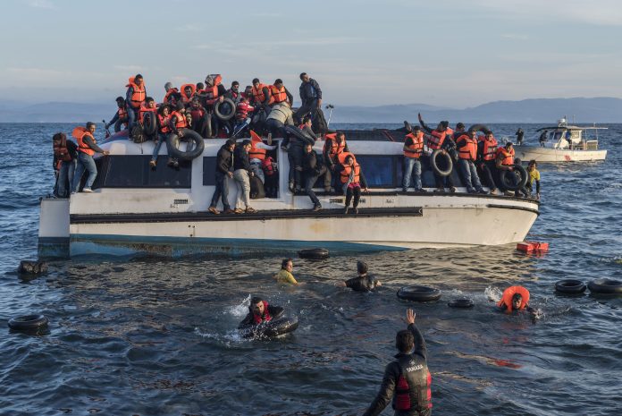 Migration & Forced Displacement