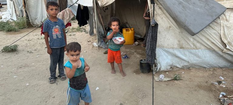 Gaza: UN Calls for Immediate Ceasefire Amid Growing Tragedy and Attacks on Healthcare
