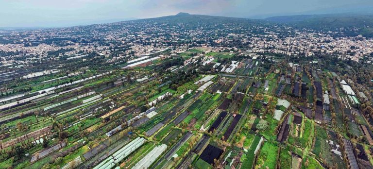 The Chinamperos of Xochimilco: Can This Ancient Farming Tradition Survive?