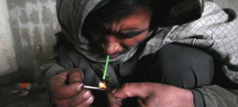 Afghanistan’s Opium Prices Soar to Historic Highs, Fueling Organized Crime Networks